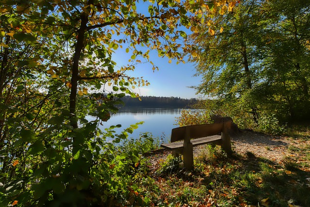 谐的团队氛 谐的团队氛