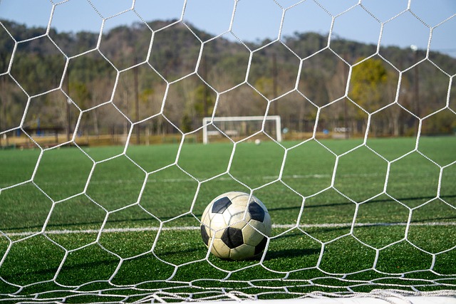 不仅帮助国 不仅帮助国