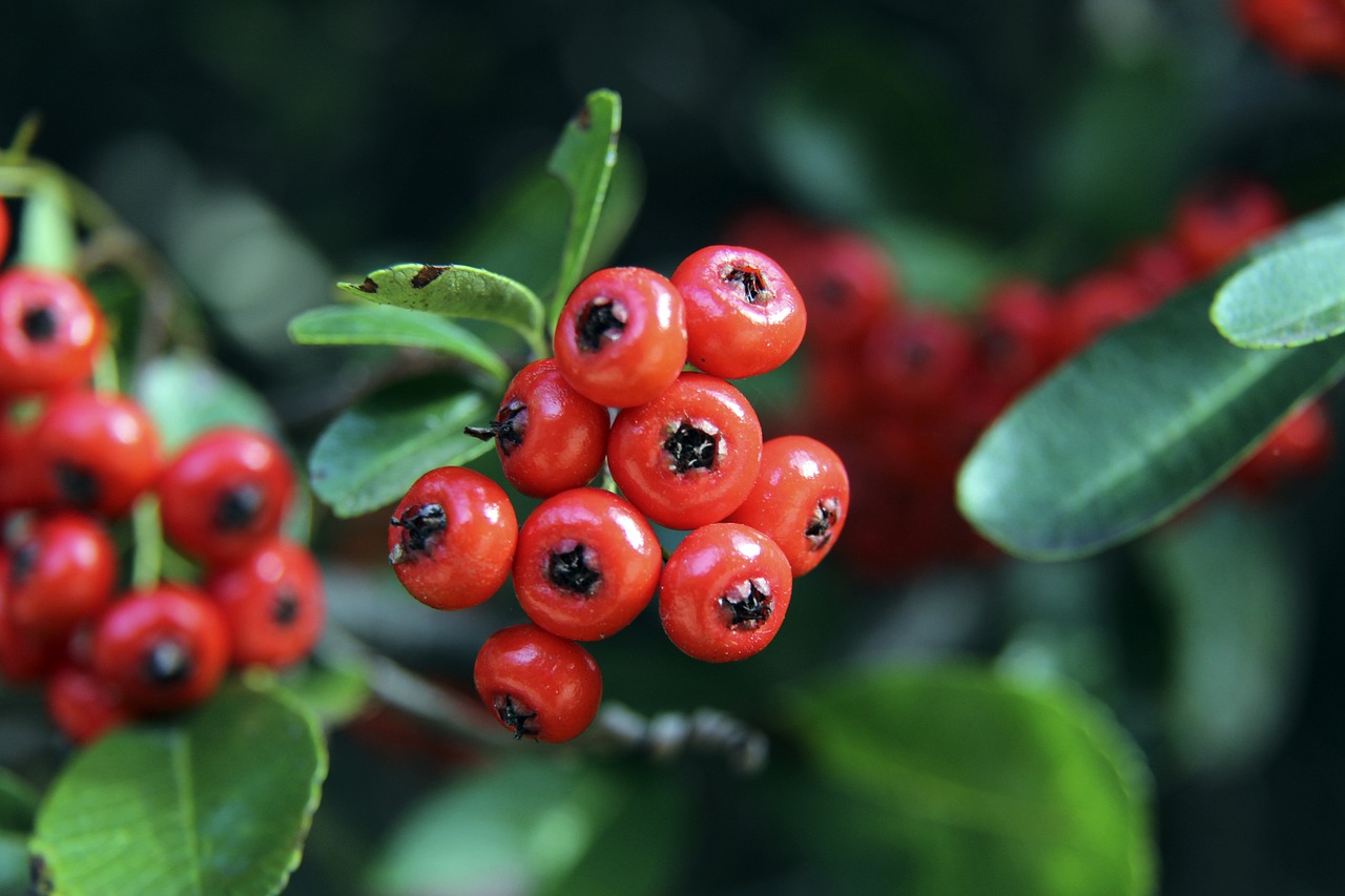 的展示手段 的展示手段