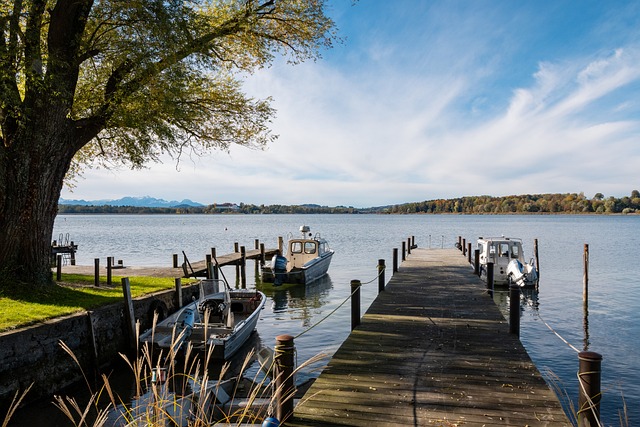 本文将深入 本文将深入