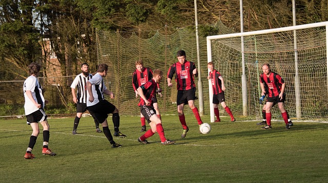 泰山隊的劉 泰山隊的劉